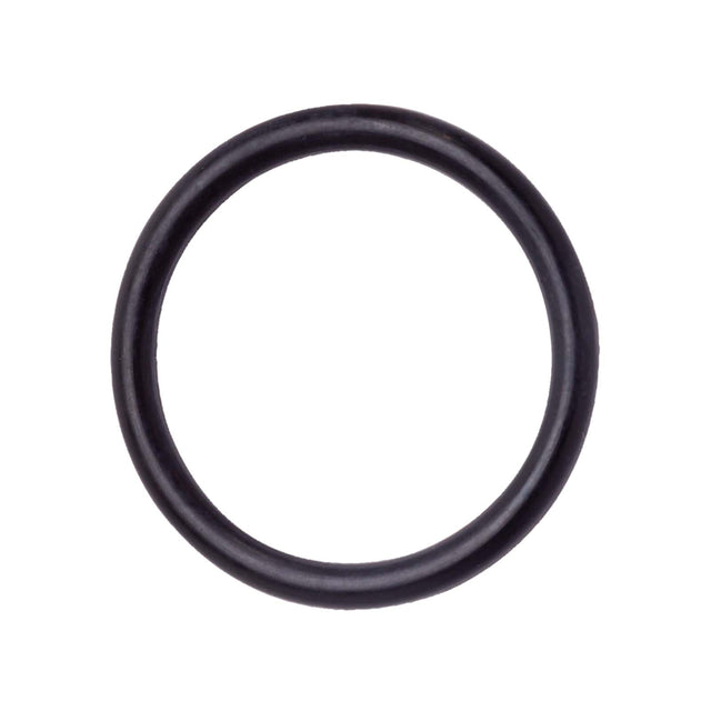 PlumbMaster Approved 35876 217N70 #96 O-Ring (Bulk)