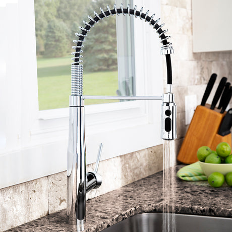 Neo SB-1043 Spring Kitchen Faucet