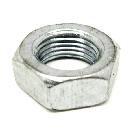 Oasis 026824-019 Silver Metal Hex Nut for P8AM, PAM Series Oasis Water Cooler