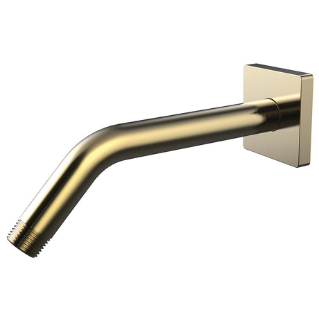 Lura CDS2501-BBZ Shower Arm and Flange