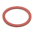 PlumbMaster Approved 97065 F Style Cap Thread Gasket For 2928 Series Fisher Spring Style Pre-Rinse Unit, Repcal