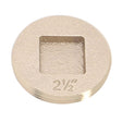 PlumbMaster Approved 50672 2-1/2" Premium Brass Counter Sunk Square Head Cleanout Plug