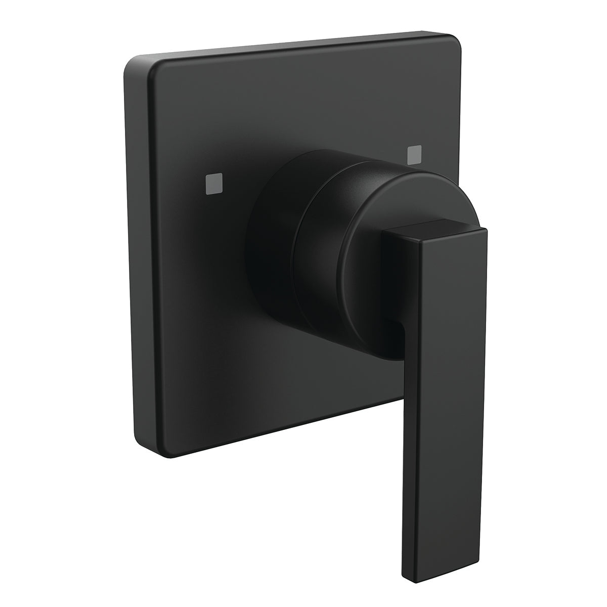 CPT-112-MB Lura Transfer Valve Trim