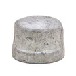 PlumbMaster Approved 94764 3/4" FIP Galvanized Steel Cap