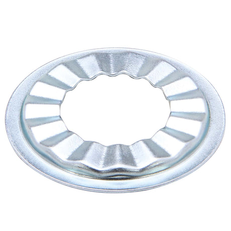 PlumbMaster Approved 80344 Cadmium Plated Steel Basin Cock Washer