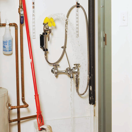 Eyesaver SEF-9000 Service Sink Eyewash Faucet