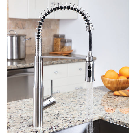Neo SB-1043-SS Spring Kitchen Faucet