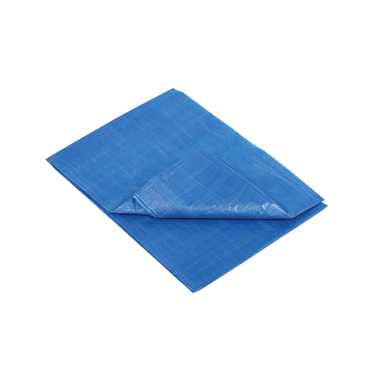PlumbMaster Approved 59388 Plastic Reinforced Tarp, Blue, 6 x 8 ft
