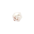 PlumbMaster Approved 40578 Closet Bolt Cap Nut, 5/16" - 18T
