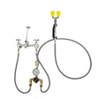 Eyesaver SEF-9000-TW Service Sink Eyewash Faucet with Eyewash Thermostatic Mixing Valve