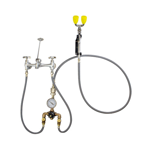 Eyesaver SEF-9000-TW Service Sink Eyewash Faucet with Eyewash Thermostatic Mixing Valve