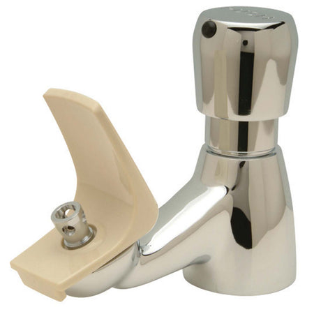 Zurn AquaSpec Z83600-XL Lead-Free Drinking Fountain Bubbler, 1/2-14 NPSM
