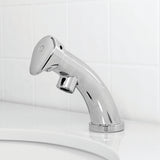 Speakman Metering Faucet S-5125 replacement part