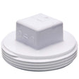 PlumbMaster Approved 59636 3-1/2" PVC Raised Square Head Cleanout Plug