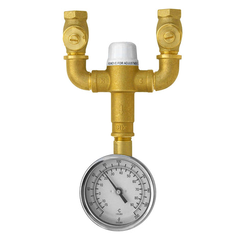 Eyesaver SEF-TW Thermostatic Mixing Valve Kit