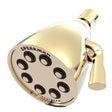 Icon S-2251-BN-E175 Low Flow Shower Head