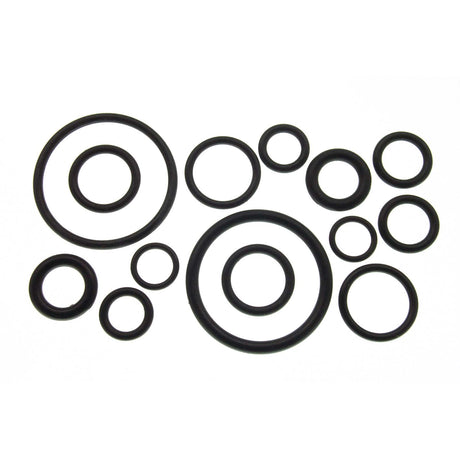 PlumbMaster Approved 80788 14-Pieces O-Ring Assortment (Bulk)