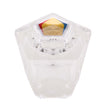 PlumbMaster Approved 31816 42118 Acrylic Single Control Handle
