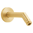 Neo S-2540-AB Shower Arm and Flange