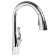 Chelsea SB-2142 Pull Down Kitchen Faucet